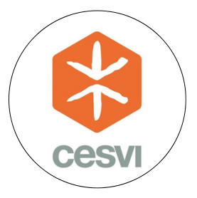 CESVI
